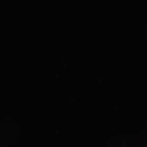 Meet your Posher, Riley